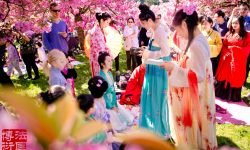 樱花上巳节2015-2